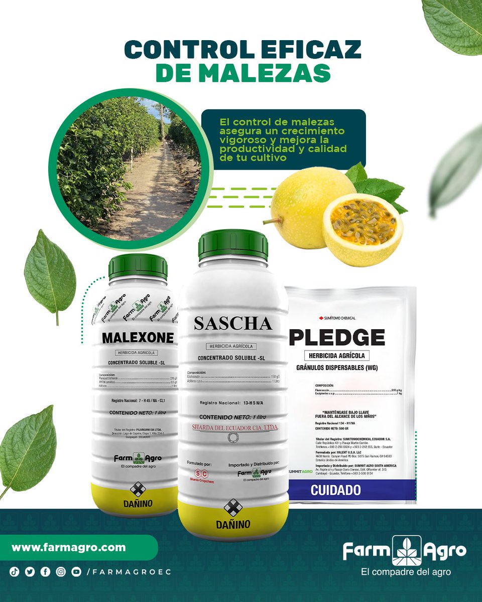 FarmagroEc's tweet photo. 🌱 ¡Asegura el éxito de tu cultivo de maracuyá! 🌱 Nuestros productos para el control de malezas garantizan un crecimiento vigoroso y una mayor productividad.🌿 Mantén tus plantas sanas con nuestras eficaces soluciones. ¡Descubre la diferencia hoy! #ControlDeMalezas https://t.co/yGTeBw13sl