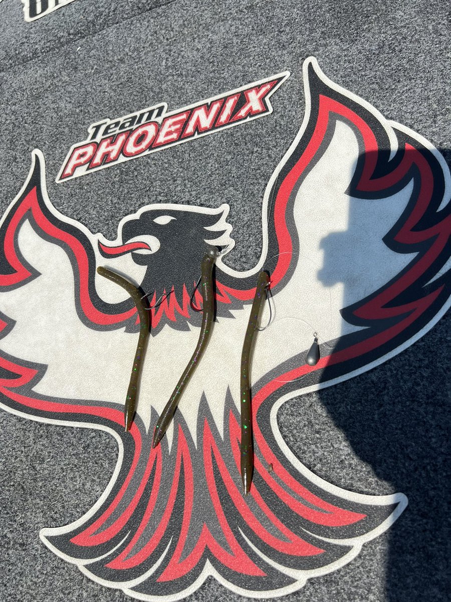 One worm…3 techniques 
@yamamoto_fishing Sensei Worm is extremely versatile 
#bassfishing #yamamotobaits