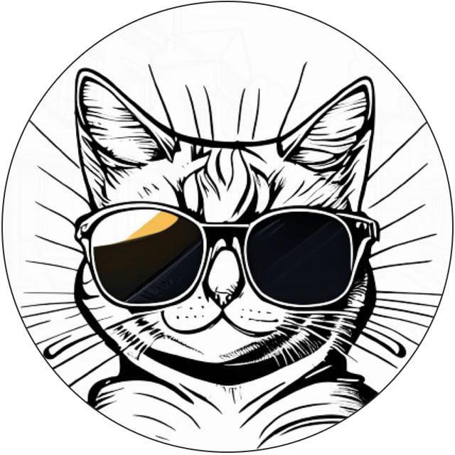 Kleppe_lekker's tweet image. Ape $kimi  330 mil ath, Dev dumped and Community took over

Current mc also a steal and nobrainer to ape!
@KimiCat_Solana