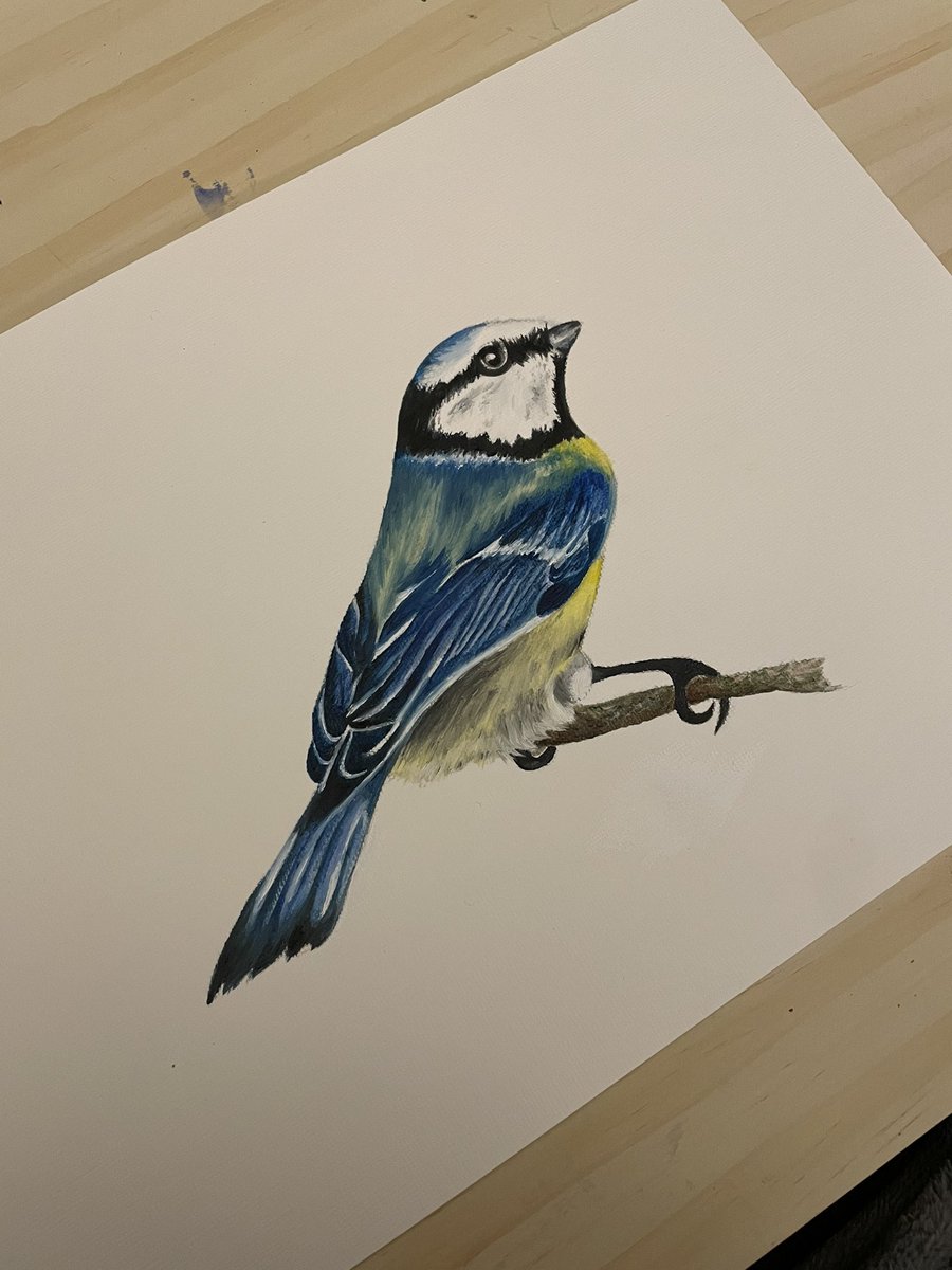 thatenglishemma's tweet photo. I painted a bird 🎨 https://t.co/Yu1pifNVhd