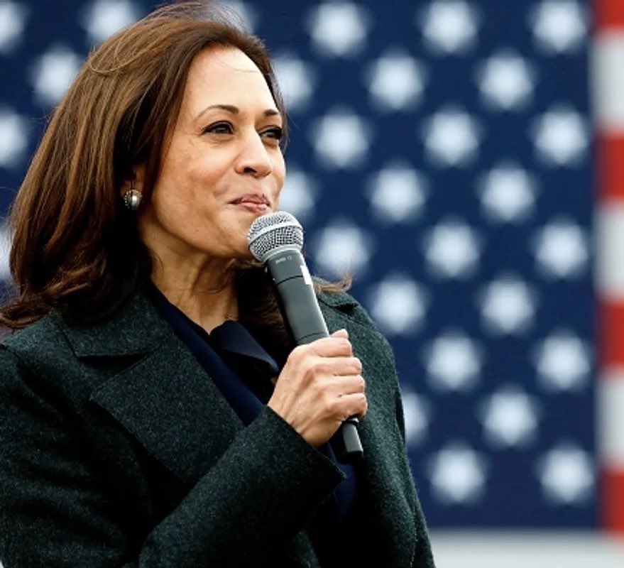 Brian Krassenstein tweet media