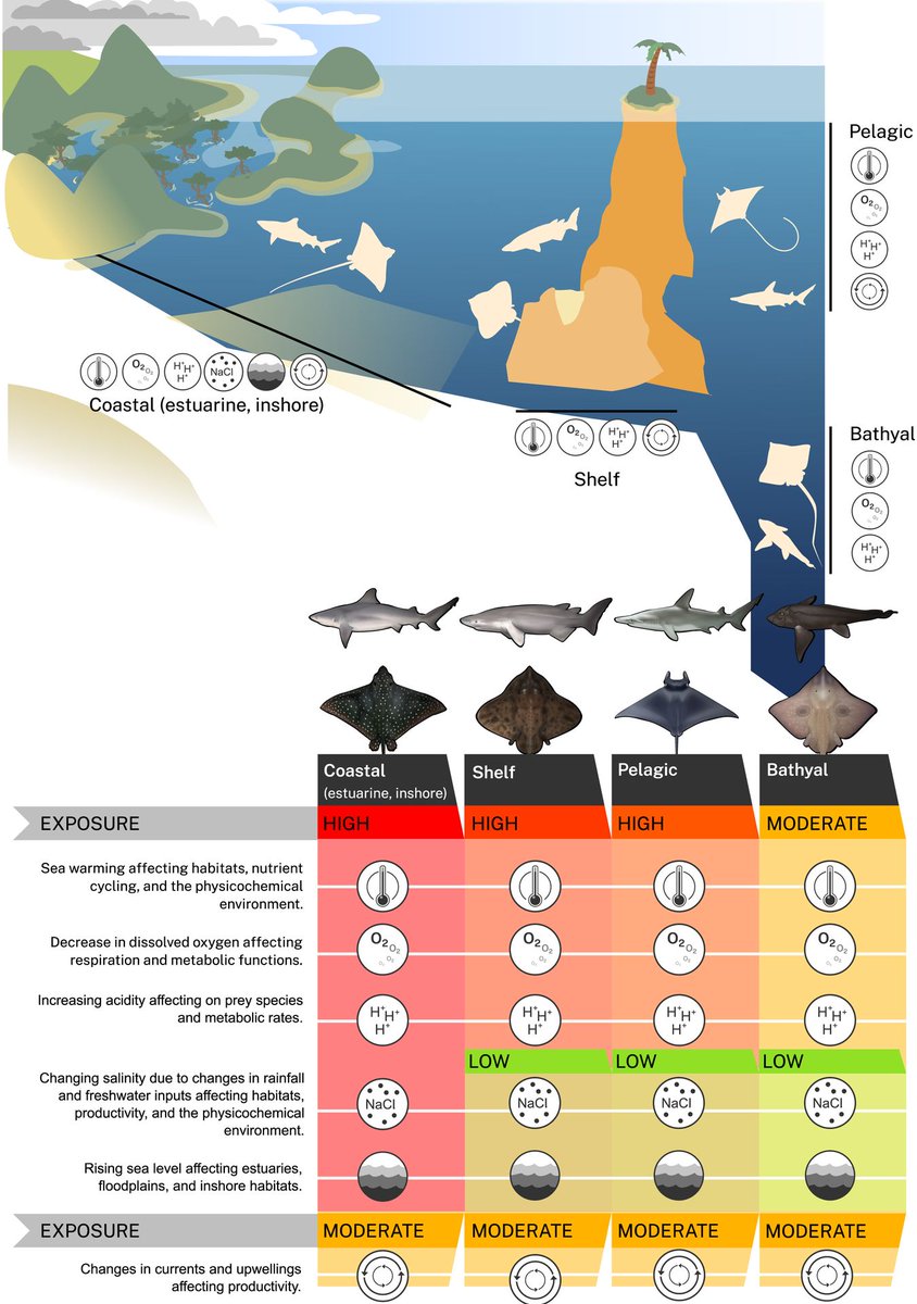 Global Change Biology tweet media