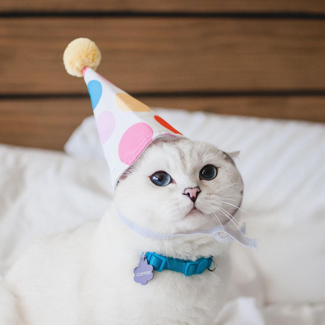 Is it time to get the party started yet?
$WCC