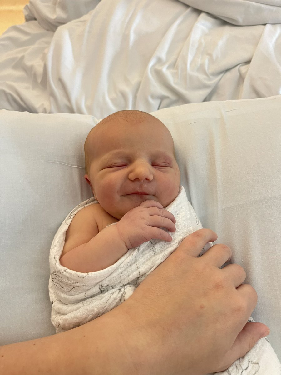 HumbleBrvd's tweet photo. Our precious girl has arrived! https://t.co/sGSHds3hVy
