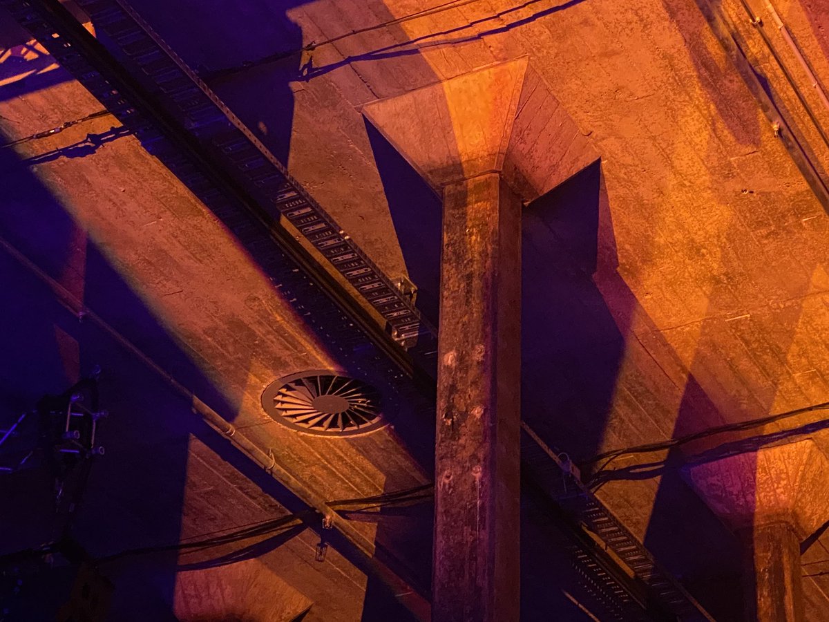 Mitch Elliott tweet media