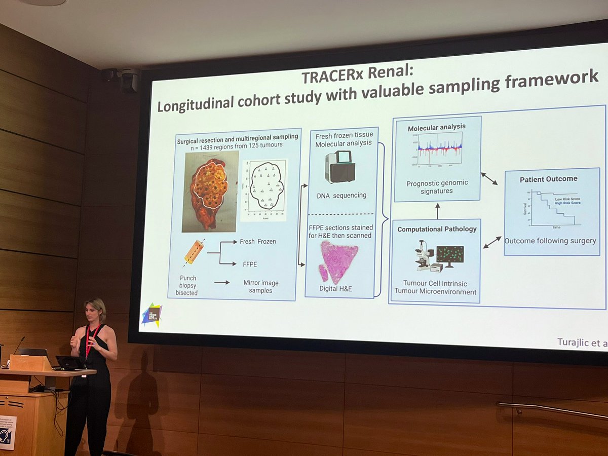 ZaydTippu's tweet photo. Privileged to watch this rising super 🌟@CSpencer_path excel at her PhD seminar. Huge future in computational path 🔬! Fantastic collaborator, colleague &amp; most importantly friend!

Congrats Charlotte, PhDone ✅🎉🙌🏾! @TurajlicLab @TheCrick @royalmarsdenNHS https://t.co/ErJ1wyUsws