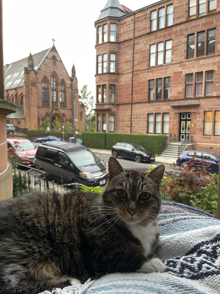 Jonesy Evens tweet media