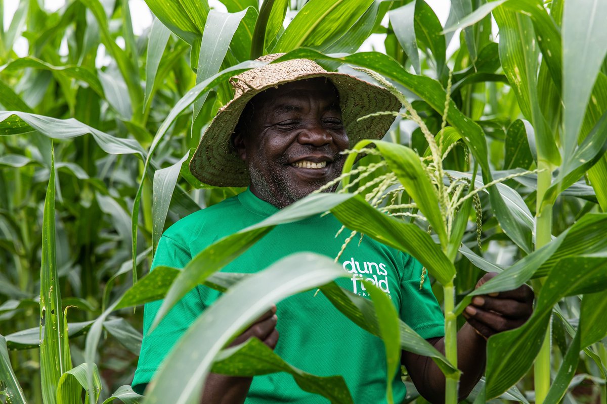 DunsFieldFarms's tweet photo. Blessed to have Mr John join us after many years of service at IITA. https://t.co/X2eutVvG6q