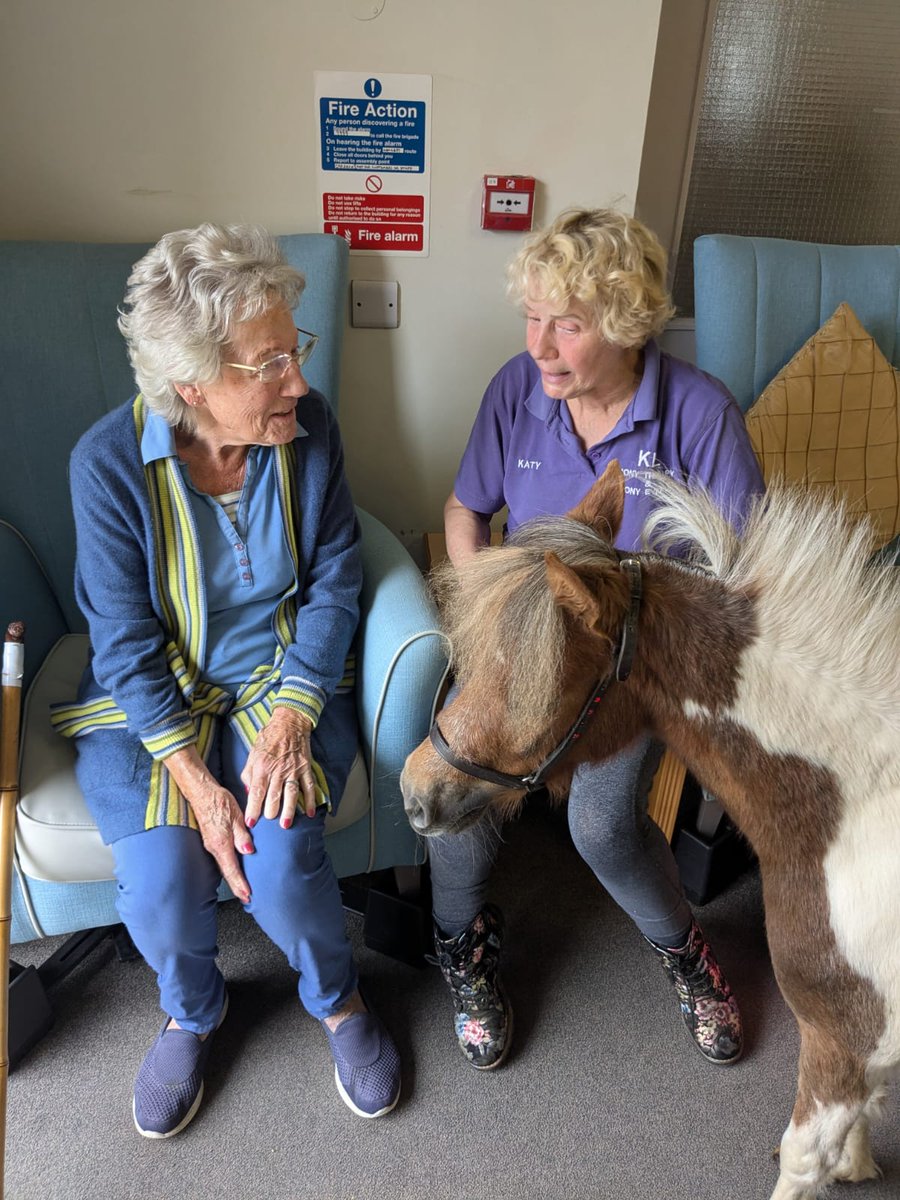 Townend Close Care Home tweet media