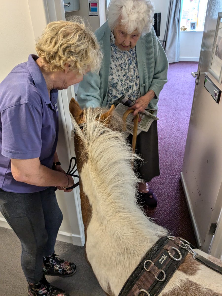 We had Hazel the Pony visit today. Everyone loved her. #ponylove #therapy #wonderful