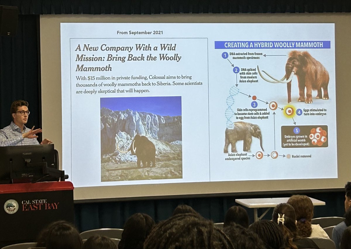 Bay Area LEEDS tweet media