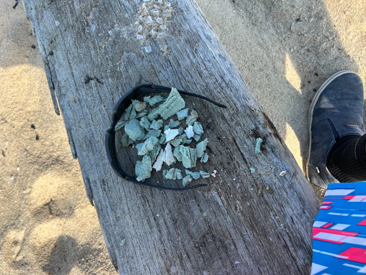 Nantucket Current tweet media