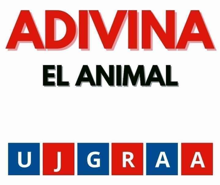Suricato 💎 tweet media