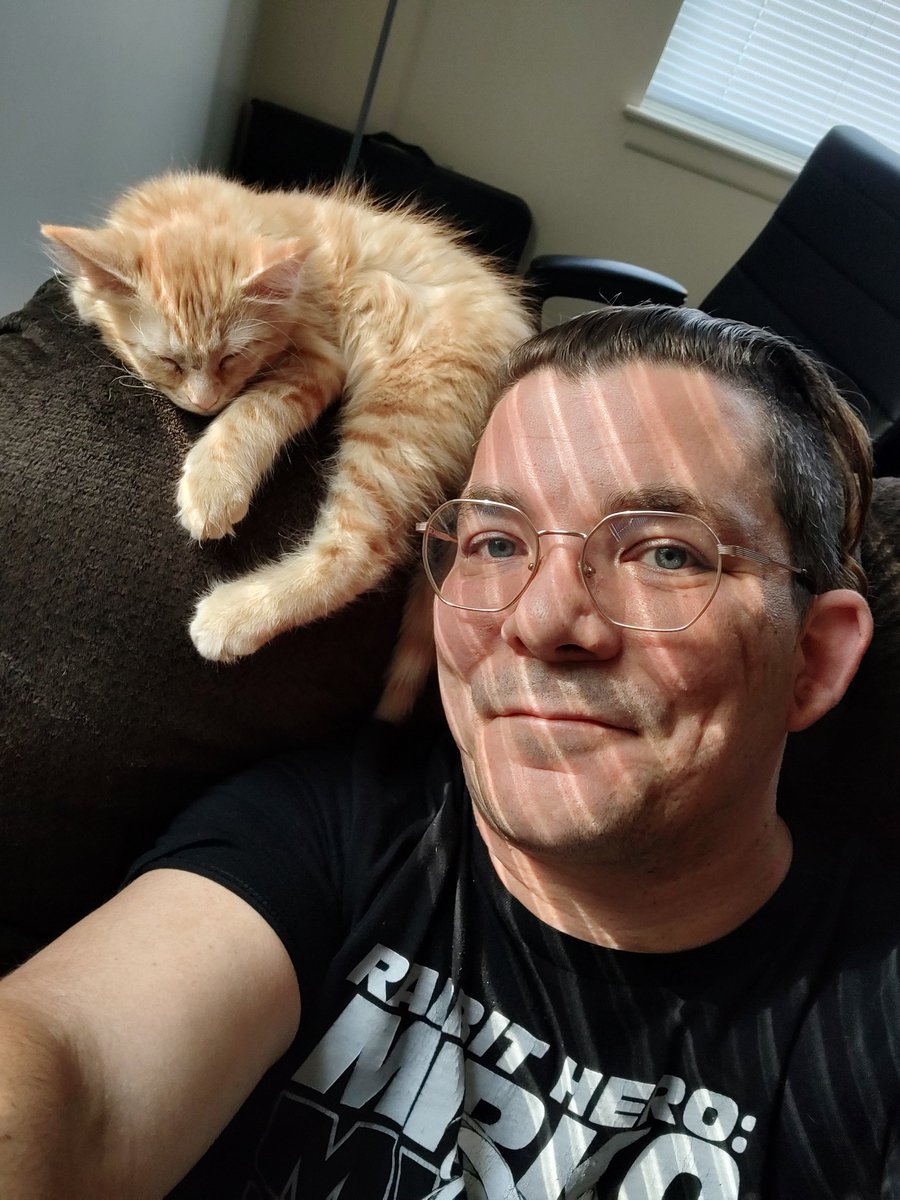 KaiAshlyn's tweet photo. Eepy lil guy 🧡🐈 https://t.co/RcqgoPpqPM