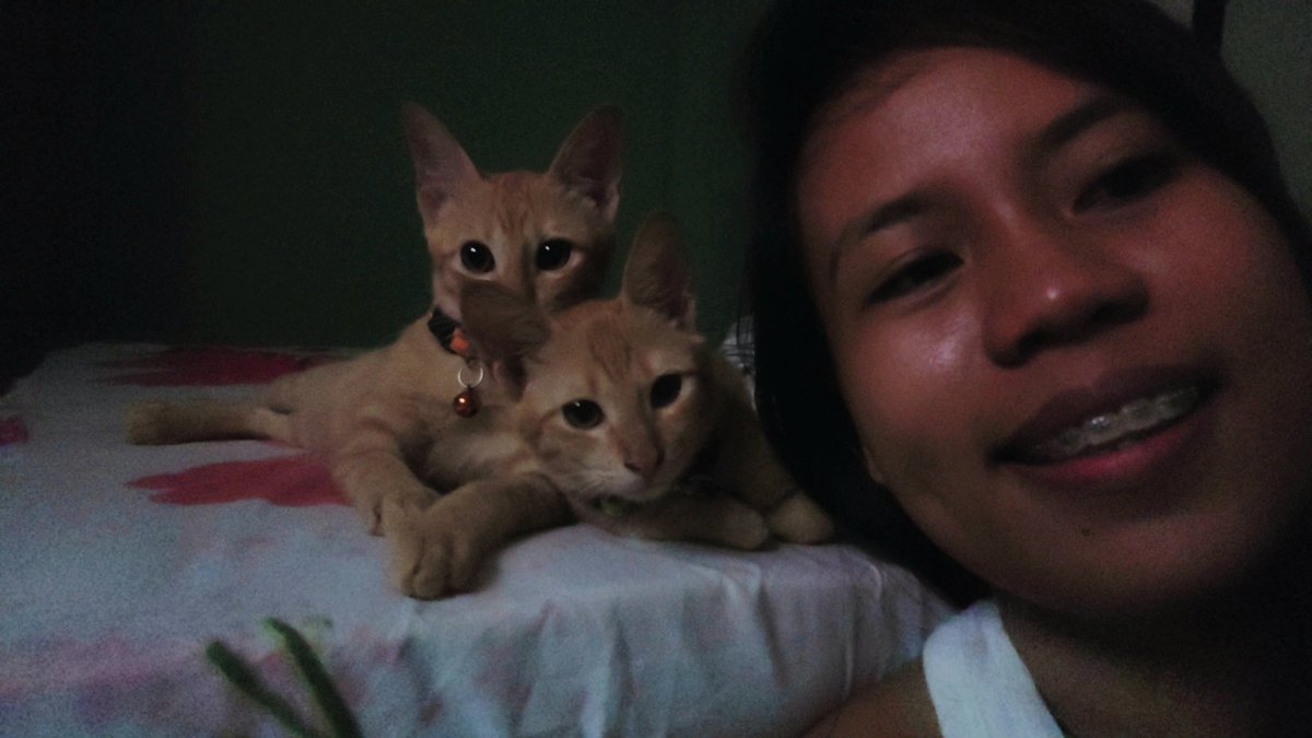 mae_mm28's tweet photo. My dearest GINGER,
From the moment you came into my life, you brought endless joy, love, and companionship. Your playful antics and comforting presence made every day brighter. 🤍🕊
#pet #puspin https://t.co/Q8TfoORk2q