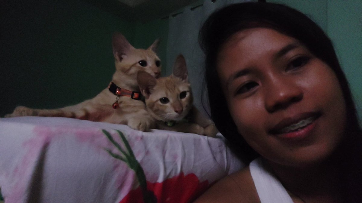 mae_mm28's tweet photo. My dearest GINGER,
From the moment you came into my life, you brought endless joy, love, and companionship. Your playful antics and comforting presence made every day brighter. 🤍🕊
#pet #puspin https://t.co/Q8TfoORk2q