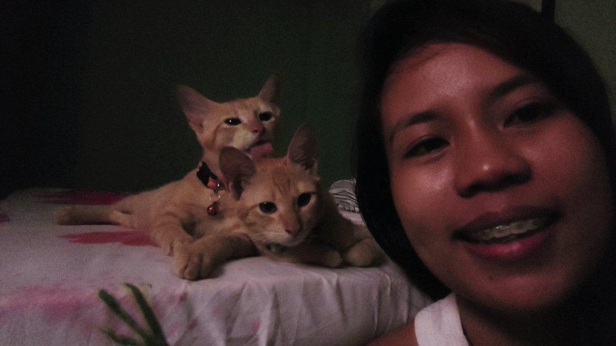mae_mm28's tweet photo. My dearest GINGER,
From the moment you came into my life, you brought endless joy, love, and companionship. Your playful antics and comforting presence made every day brighter. 🤍🕊
#pet #puspin https://t.co/Q8TfoORk2q