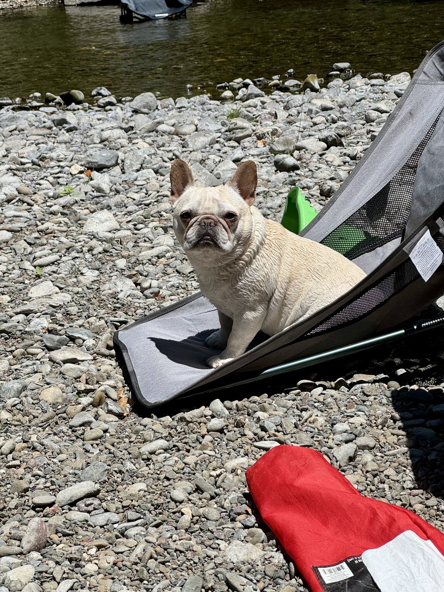 Andrew Cornett tweet media