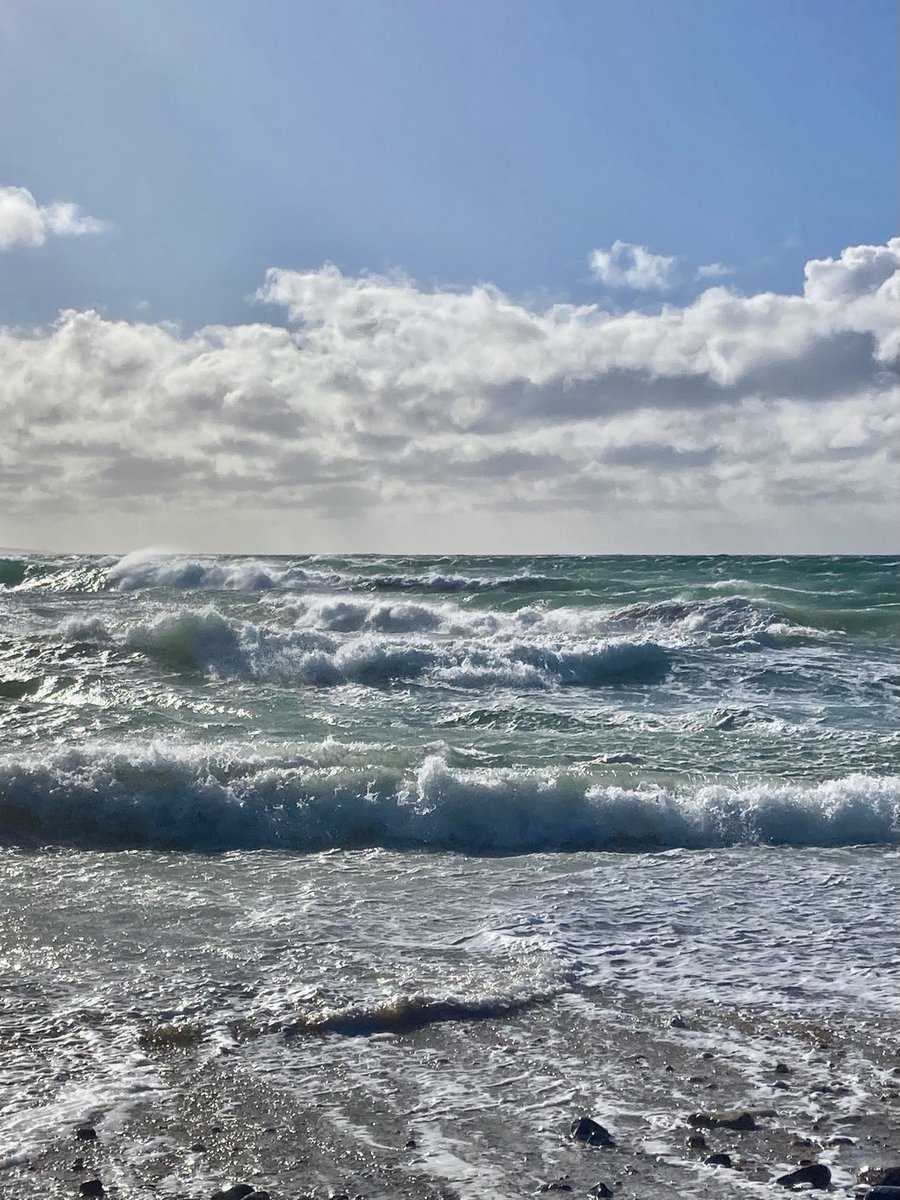 Twig & Heather tweet media