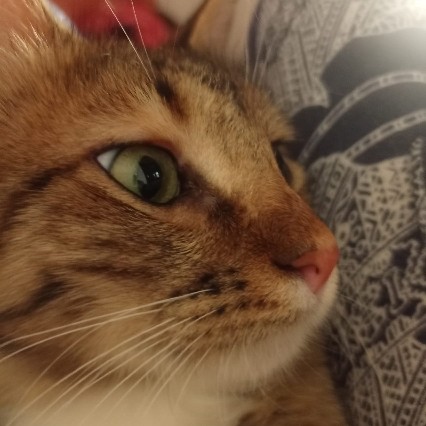 Sosmimi (@sosmimi67) on Twitter photo 