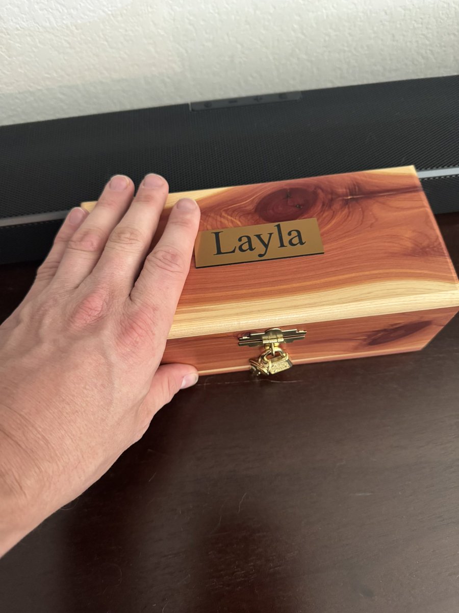 Tim Davis 🌮 tweet media