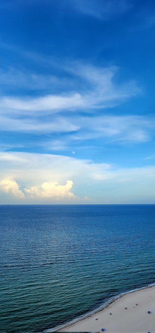 💙🐇 https://t.co/Mnof0ZsW86