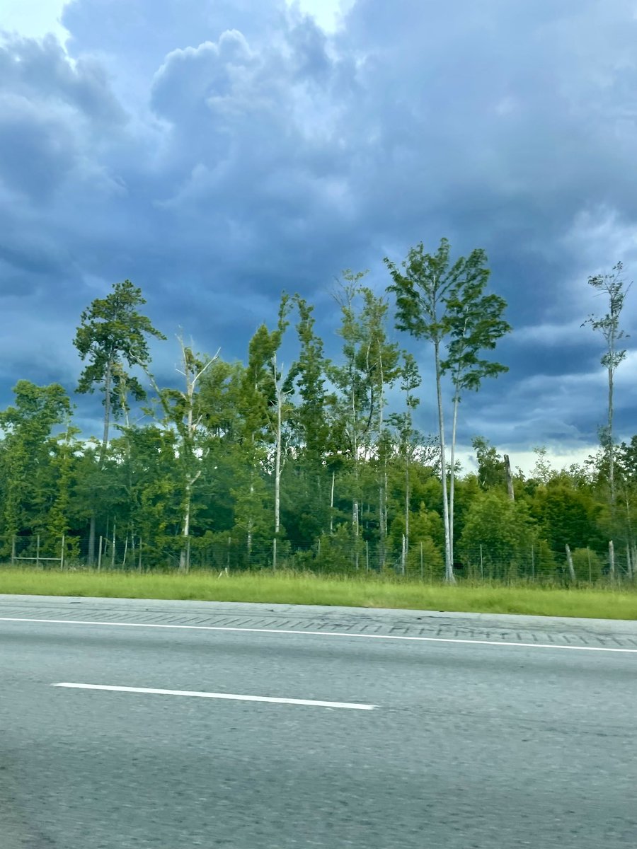 Don’t get to see this one often and wow the clouds!!!