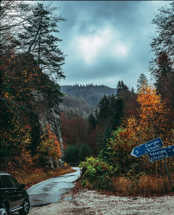 cyborgme1337's tweet photo. Here are some of favourite places to $WLK. I feel even more motivated now that i got @WalkersCNFT characters from the main collection. 
#Walk2Earn #NFT #Cardano #cardanosummer #MoveToEarn #FitnessCrypto #StepToEarn #SportsNFTs #NFTGaming #NFTHealth
@pickled_beets93 @23WarFace23 https://t.co/xM7c5wvb9m