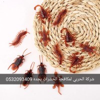 JdhNwarh's tweet photo. مكافحه حشرات بجده https://t.co/asx50r9Pa8
