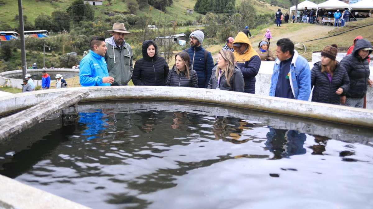 Produccion_Ecu's tweet photo. 📍Cuenca | Más de 1⃣9⃣0⃣ piscicultores afectados por desastres naturales y grandes pérdidas en las provincias de Azuay, Cañar y Tungurahua recibieron una dotación de 2⃣0⃣0⃣ mil alevines de trucha🐟 por parte del Viceministerio de Acuacultura y Pesca. https://t.co/k98pI2VoQF