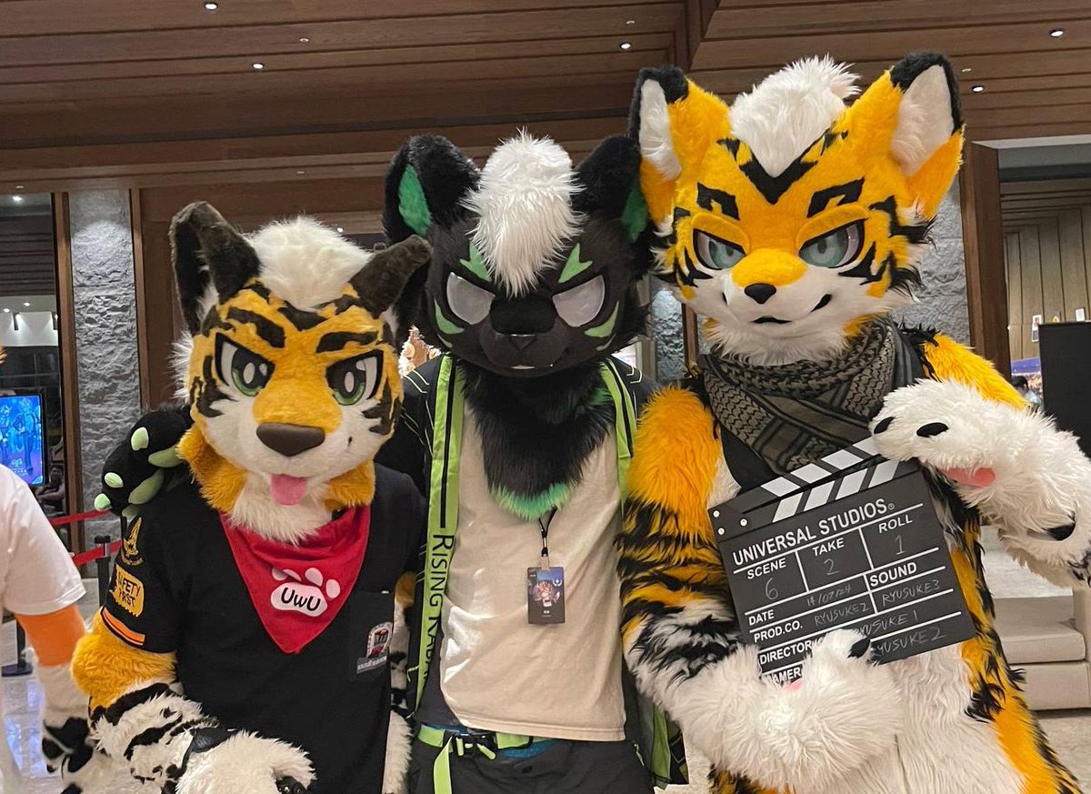 KoorineRoki's tweet photo. 🐯🐱🐯
🐯：@Ryusuke6351 

#FurMIT #FurMIT2024 #FurMIT24 https://t.co/9U5uhUC9c3