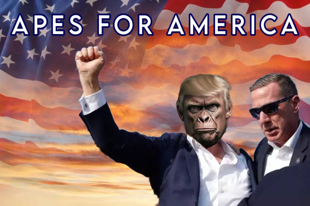 God bless apes and god bless America 🦍🇺🇸

Here is a 2% burn on us 🔥: etherscan.io/tx/0xdf0604d67…

$MAC