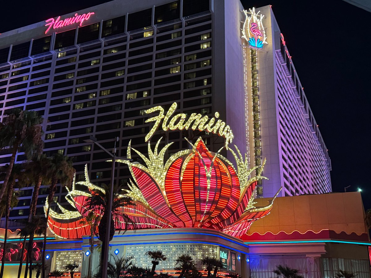 shuchig's tweet photo. @SKolhatkar @csteachersorg Glad we also got to have some fun together 😍🎉
#Mystere #CirqueDuSoliel #FountainsAtBellagio #LinqPromenade #LasVegas #CSTA2024 #CSForAll #NSF #PImtg https://t.co/EwJZI49ohv