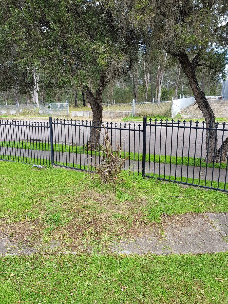 Lord Kingdom. tweet media