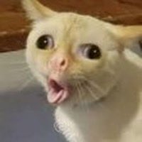 Aaron Compton tweet media