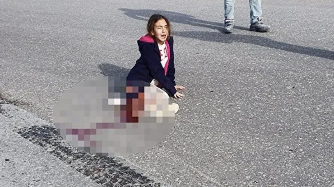 1-) Şimdi ben başıboş sokak köpekleri yasasına karşı çıkan ve bunun uğruna da halkı karşısına CHP'lilere birkaç soru sormak istiyorum. Sayın <a href="/eczozgurozel/">Özgür Özel</a> İpek isminde bir kızınız var Allah bağışlasın ve hepinize uzun ömürler versin. Düşünün; birgün telefonunuz çalıyor ve İpek'in