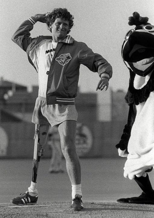 BaseballHistoryNut tweet media