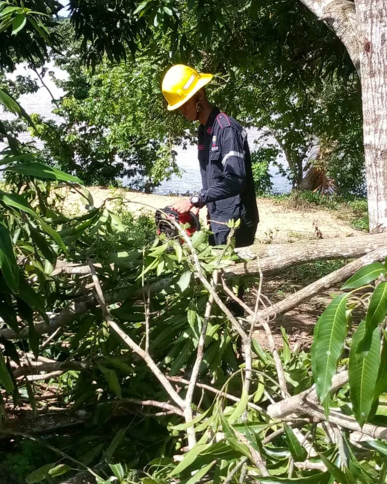 BomberosDelta22's tweet photo. Se realizó una prevención y seguridad con motivo a una poda y corte de tres Árboles de especie mango y dos de apáñate  en la calle Principal de la comunidad de San Rafael,dónde  no se presentó ninguna novedad durante la estadía en el sitio 
#18Jul 
#LaPrevenciónEsLaClave https://t.co/RirV1qm8Qj
