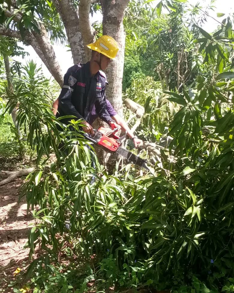 BomberosDelta22's tweet photo. Se realizó una prevención y seguridad con motivo a una poda y corte de tres Árboles de especie mango y dos de apáñate  en la calle Principal de la comunidad de San Rafael,dónde  no se presentó ninguna novedad durante la estadía en el sitio 
#18Jul 
#LaPrevenciónEsLaClave https://t.co/RirV1qm8Qj