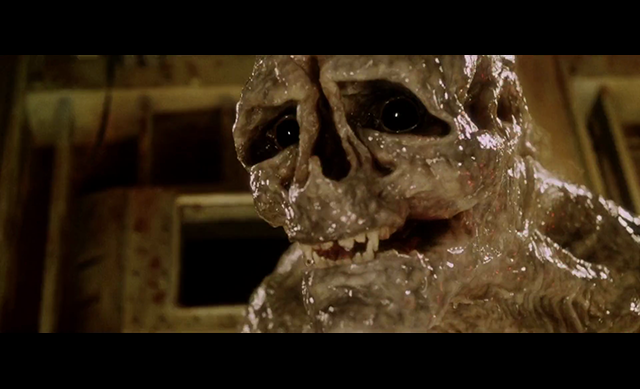 Louis Peitzman tweet media