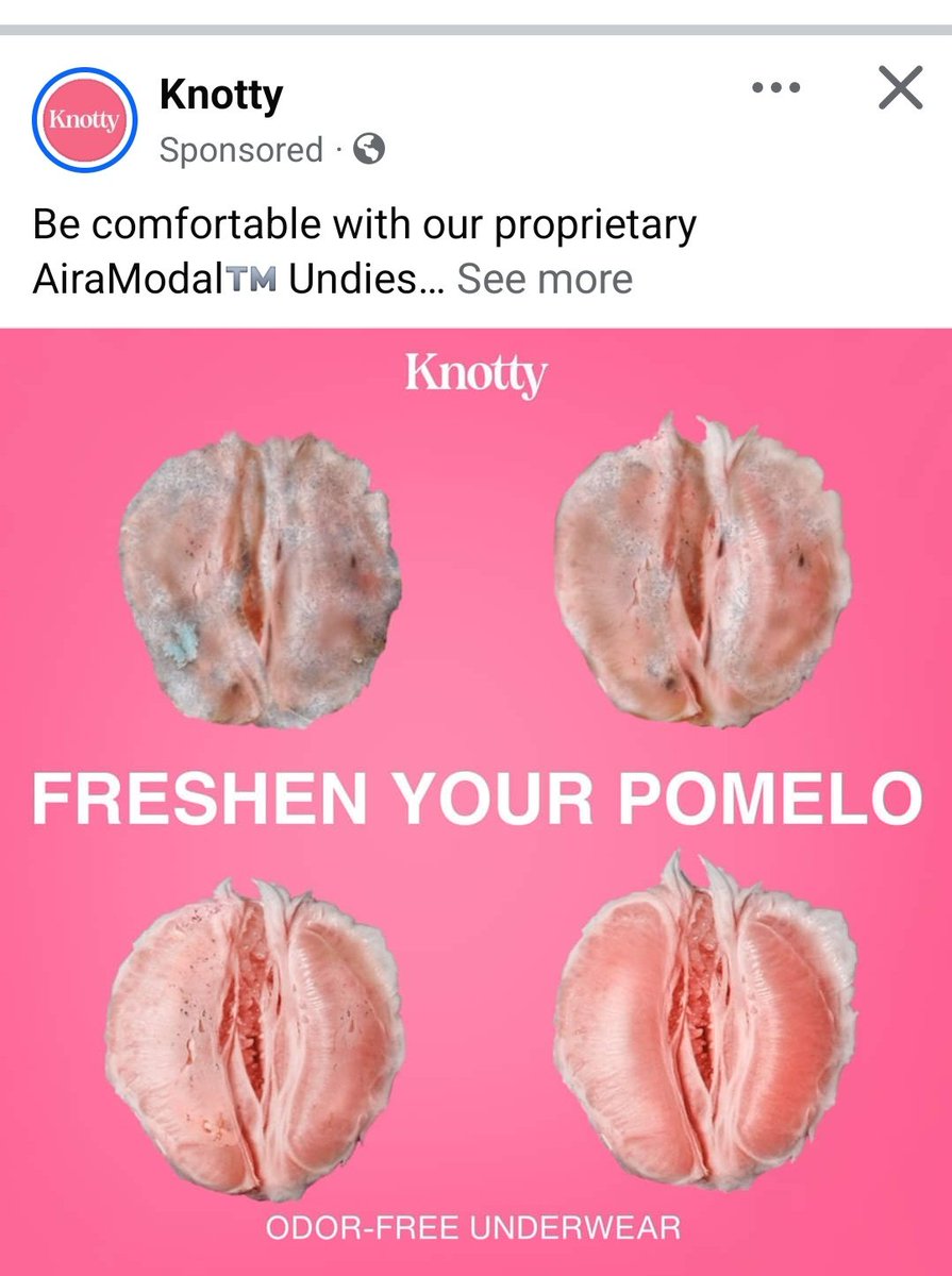 Over-educated cat lady ♥️🐈 🖕 tweet media