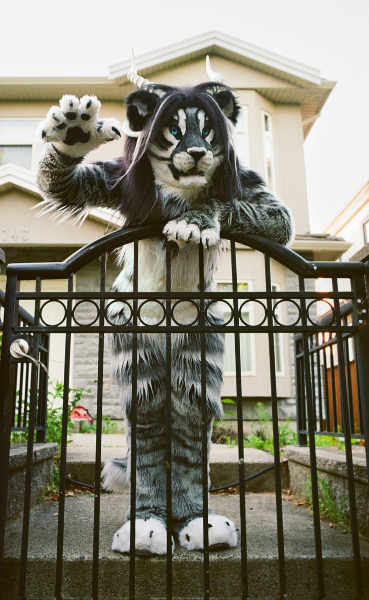 I was supposed to spend the night here, but a very intimidating beast blocked my way. 

🐱 <a href="/RynderMystscion/">Rynder Mystscion</a>