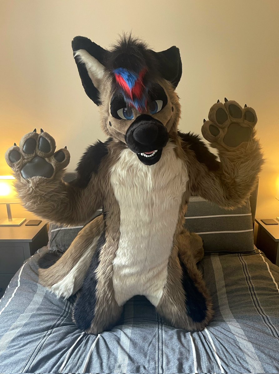 Who wants to cuddle up with this sheppy? 🐾😏 #FursuitFriday

📷 <a href="/TallShep/">Ergo</a>
🪡 <a href="/CritterWorkshop/">Critter Workshop</a>