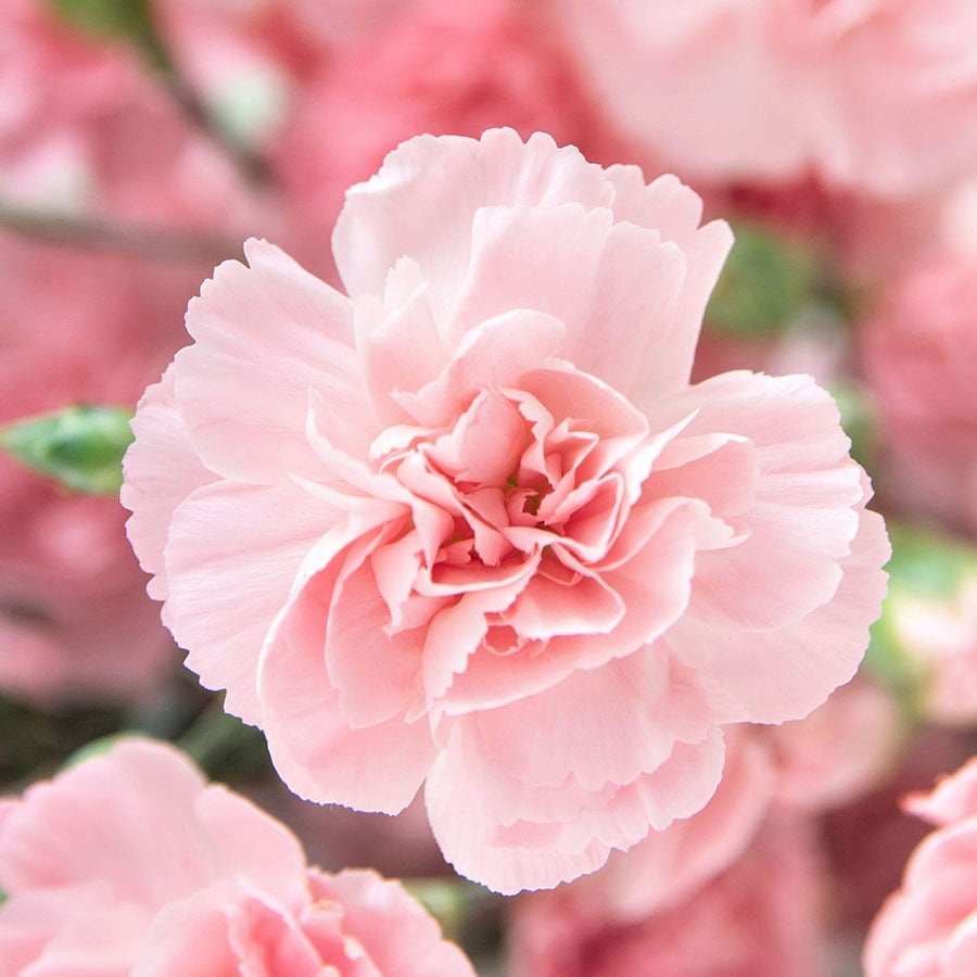beeep343's tweet photo. Test PHOTO 1722609414007 https://t.co/UUw68JTkeA