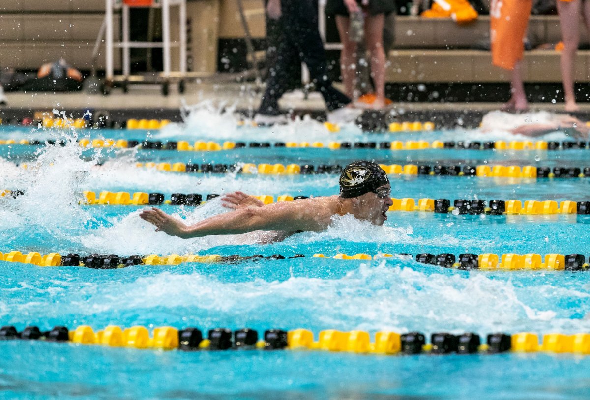 MizzouSwimDive's tweet photo. On to the semifinal! ππΉπ²πΊπ²π»π π¦π²π°π°π΅πΆ secures his spot in this afternoon's 100m Fly semifinal with a 15th place finish in the prelims!
#MIZ | π― | #Paris2024 https://t.co/kc6PzNgoxz
