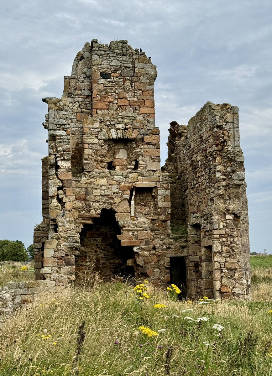 Dark Fantastic Mills tweet media