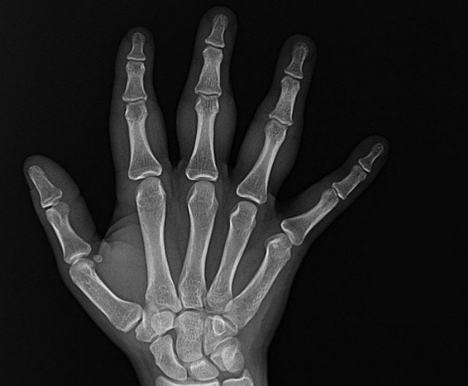 Pankti Mehta tweet media