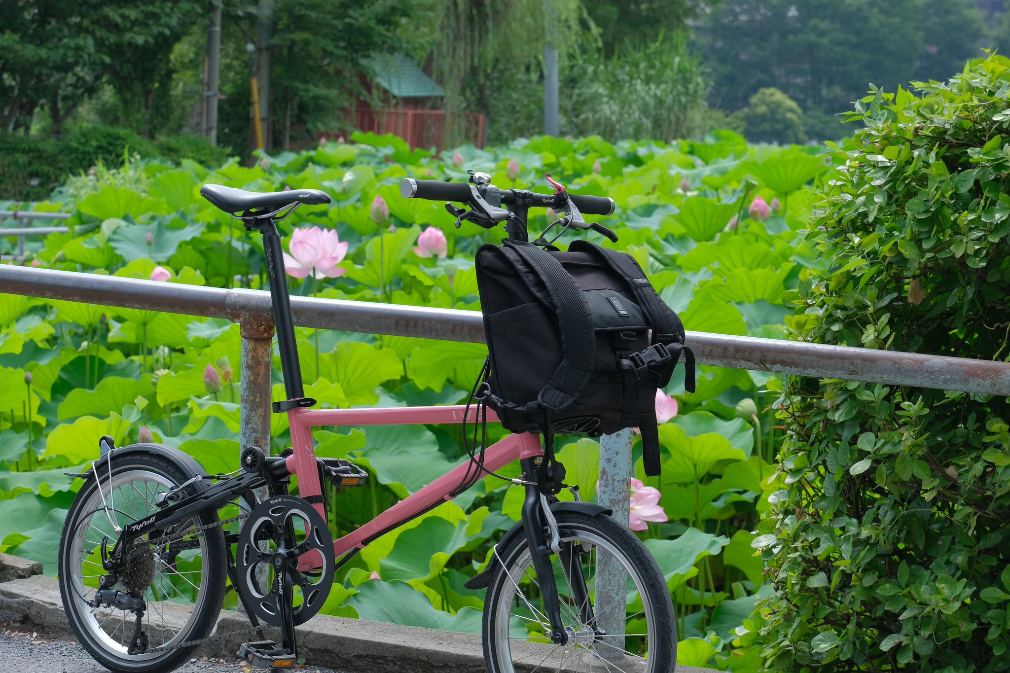 新品 Tyrell IVE リアハブ Brompton believe report: 「TYRELL IVE」をレポート＜Let's折りたたみ