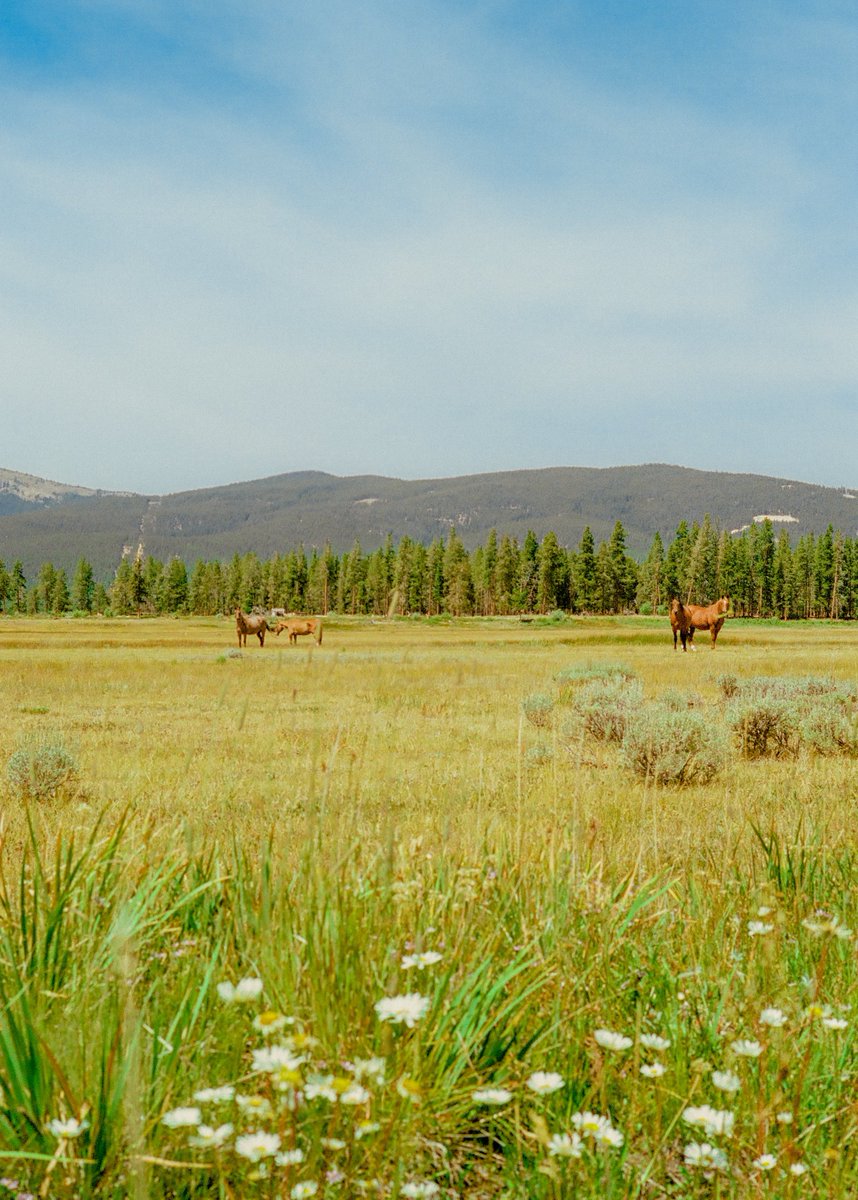 A day in Beaver Creek 🎞️