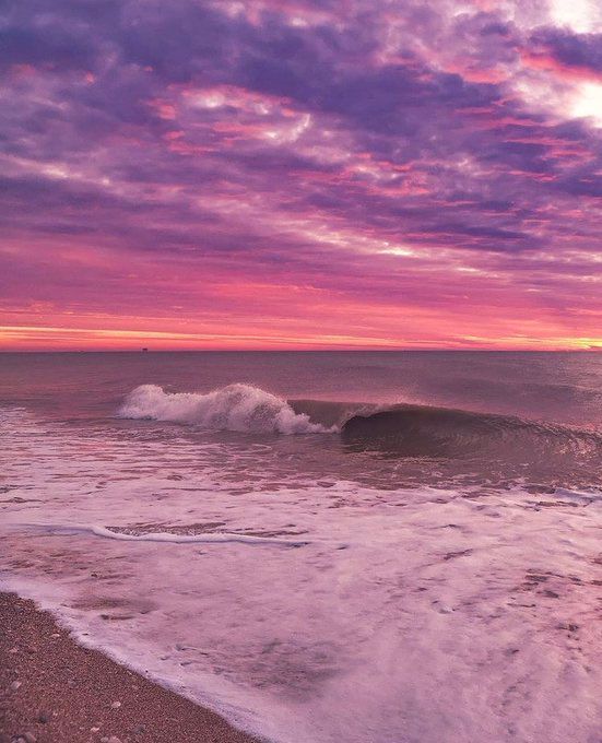 Aesthetics (@aestheticspost_) on Twitter photo 